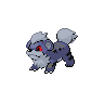 Shadow Growlithe